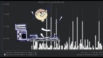 I created a network monitor tool (netplot)
