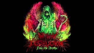 Within Destruction - This Misery