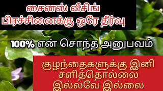 தூதுவளை கீரை தோசை/தூதுவளை தோசை/Thoothuvalai thosai in tamil/Thoothu valai/Thoothuvalai dosai recipe