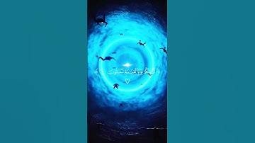 (ثم خلقنا النطفة علقه فخلقنا العلقة مظغة) قران كريم سورة المؤمنون تلاوة ياسر الدوسري ارح سمعك وقلبك