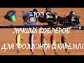 ТОП 5 ВОБЛЕРОВ ДЛЯ ТРОЛЛИНГА В КАРЕЛИИ!!! ОБЗОР СНАСТЕЙ!!!