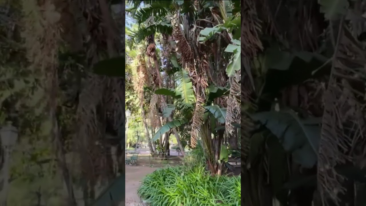 Стрим в Салерно 