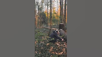 Sound Design with Field Recordings - Part 01