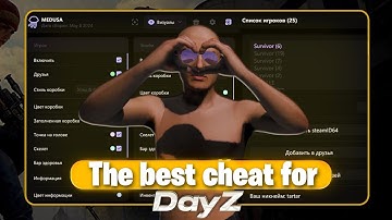 THE BEST DAYZ CHEAT IN 2025! ESP+AIMBOT [ UNDETECT ]