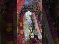 jai mata di #shortvideo #shorts