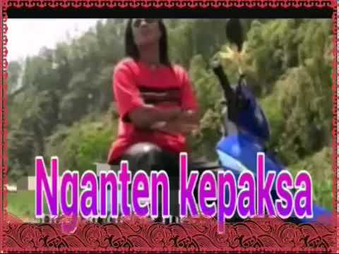 Ayu Swandewi ft. Yan se - Nganten Kepaksa ( Official Music Video)