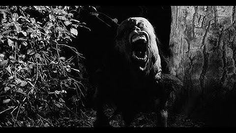 Monsters In Movies Music Video (Enforcer - Undying Evil)