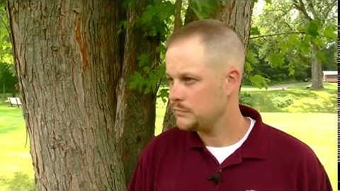 Hands On Gardening - Maple Tree Diseases