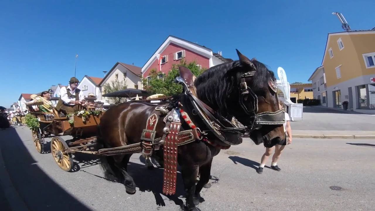 Heimattage Untergriesbach Juli 2016 Umzug - Festzug