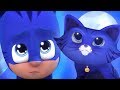 Catboy Turns into a REAL cat?! | PJ Masks Official