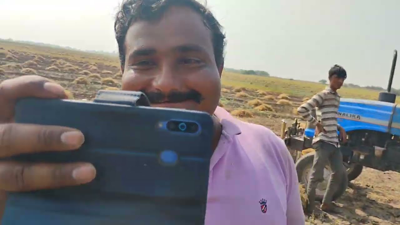 આજે તો ચણામાં ડબો આવ્યો 🌱