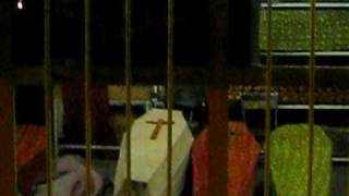 MVI_5900.AVI