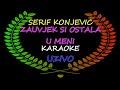 Zauvjek si ostala u meni 》 karaoke《 Serif konjevic