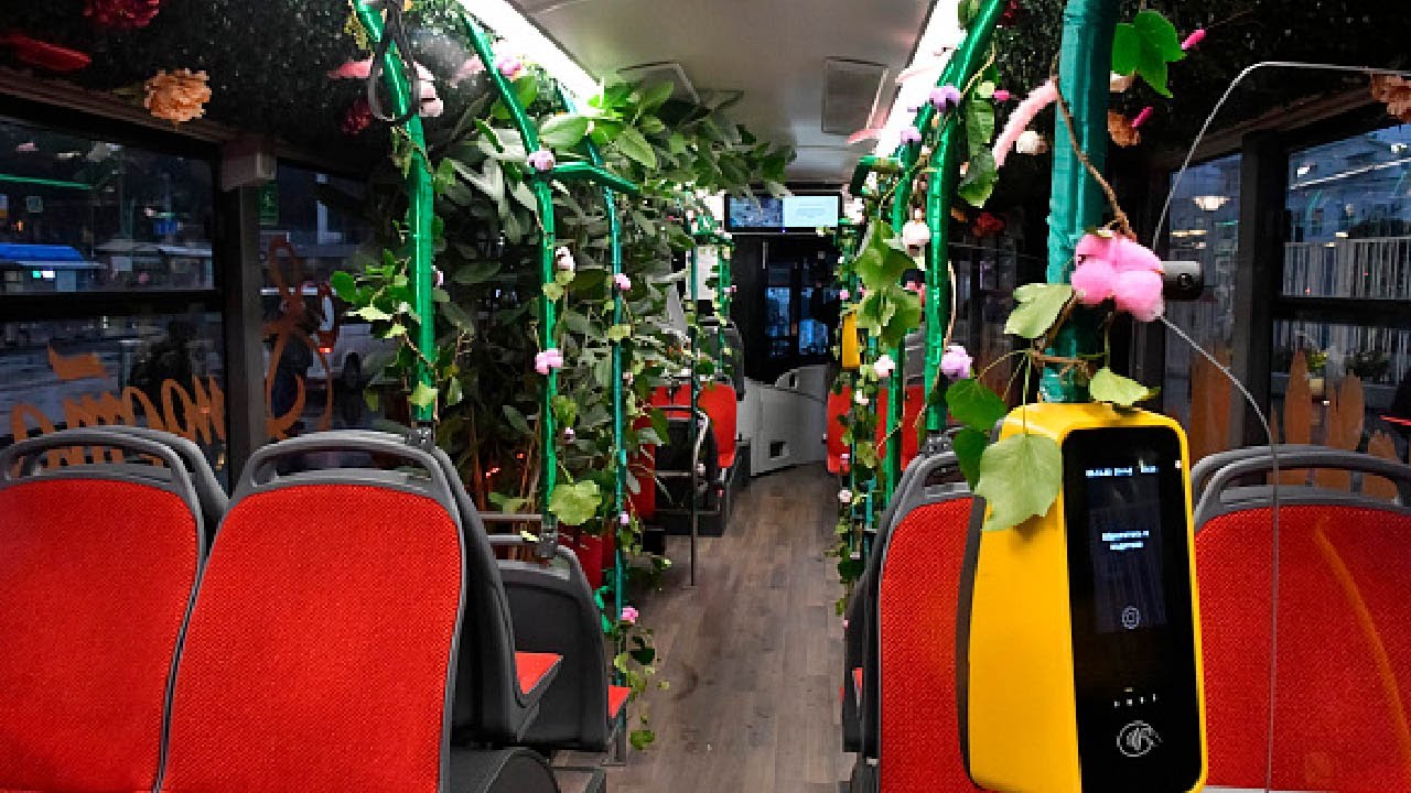 Гигантский торт и цветочные автобусы. Праздничный Сочи радует женщин на 8 марта