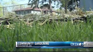 Community gardens in Rochester