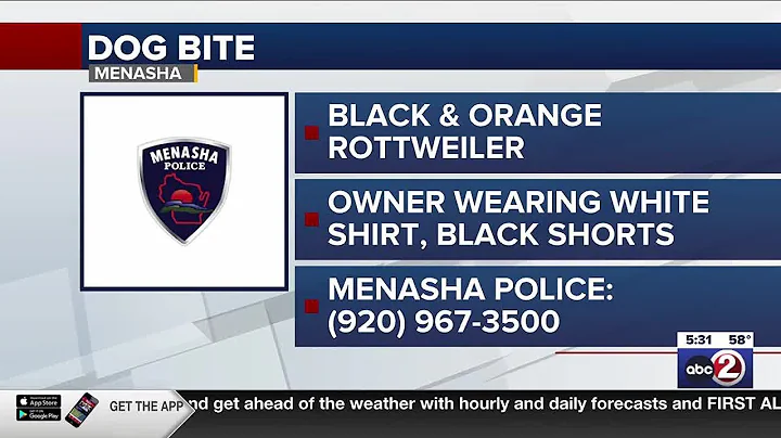 Menasha police looking for dog, owner
