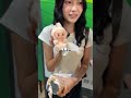最近流行りのぬいぐるみは?