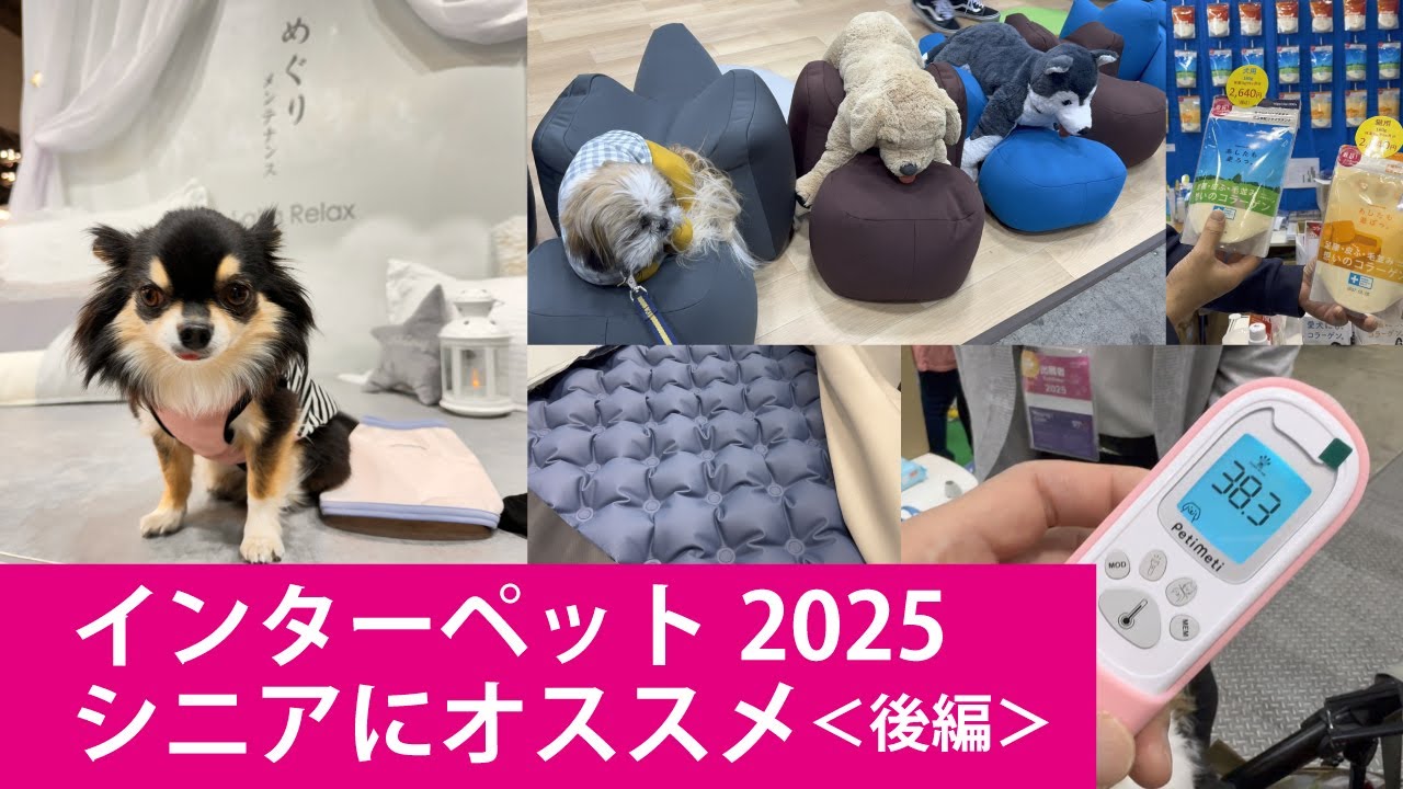 【インターペット】シニア犬にオススメな新商品＜後編＞