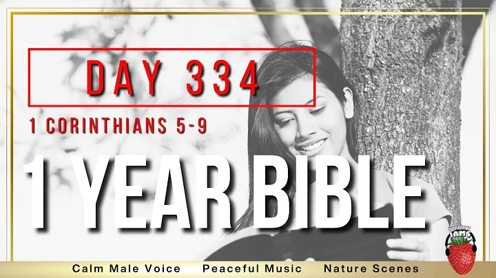 Day 334 | 1 Corinthians Chapters 5-9 | NIV | One Year Bible