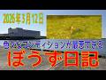 ぼうず日記+水中動画（M港）※2026年3月5日