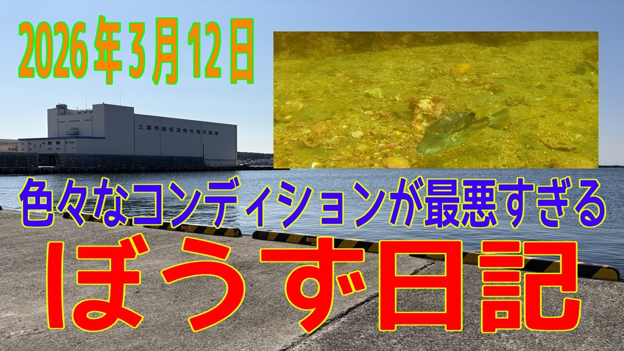 ぼうず日記+水中動画（M港）※2026年3月5日
