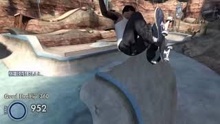 A Sick Trick In Skate 3