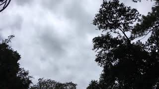 Time Lapse of clouds rolling through during a rainstorm in Wilmington NC.