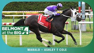 Waralo - 2026 - Ashley T Cole
