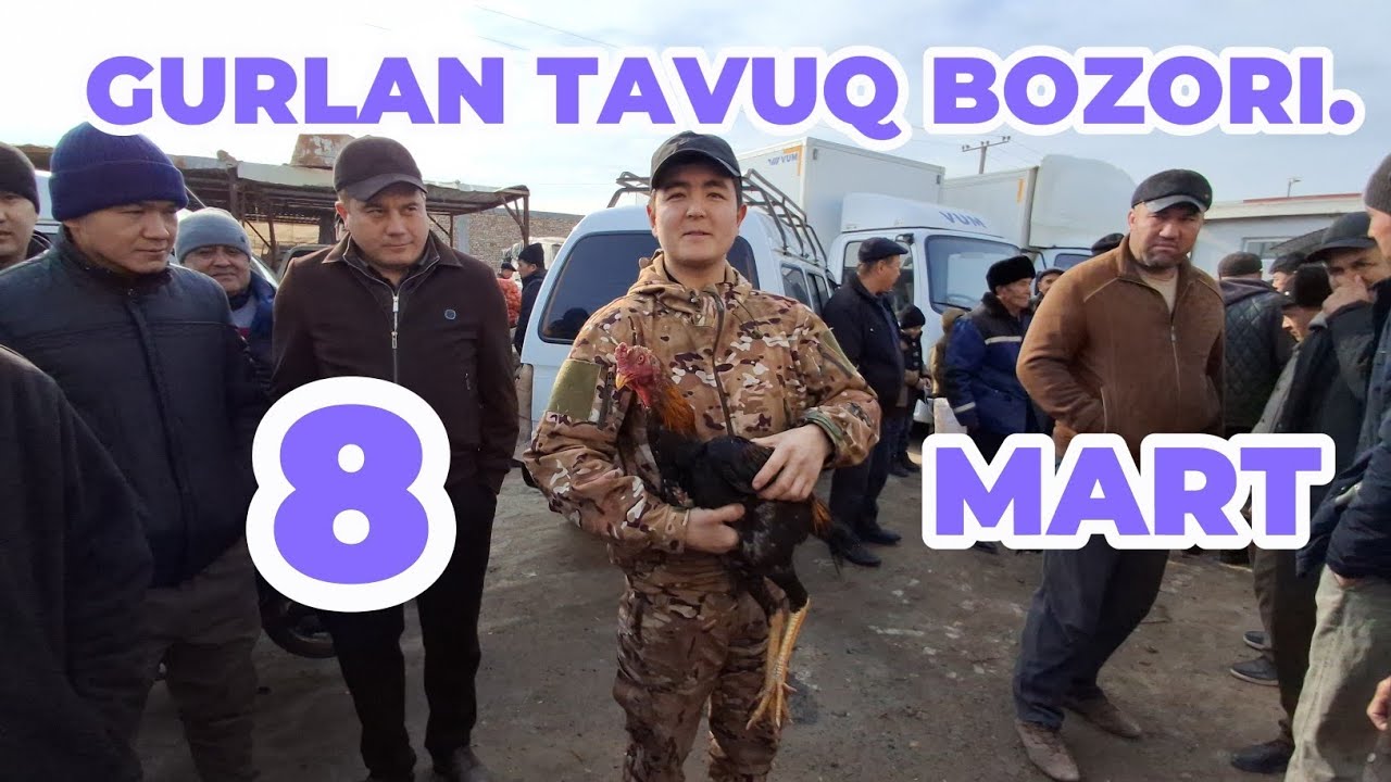 8-MART GURLAN TAVUQ BOZORI JO‘JA SEZO‘N BOSHLANDI TOKANLARNI ZO‘RI TUSHDI