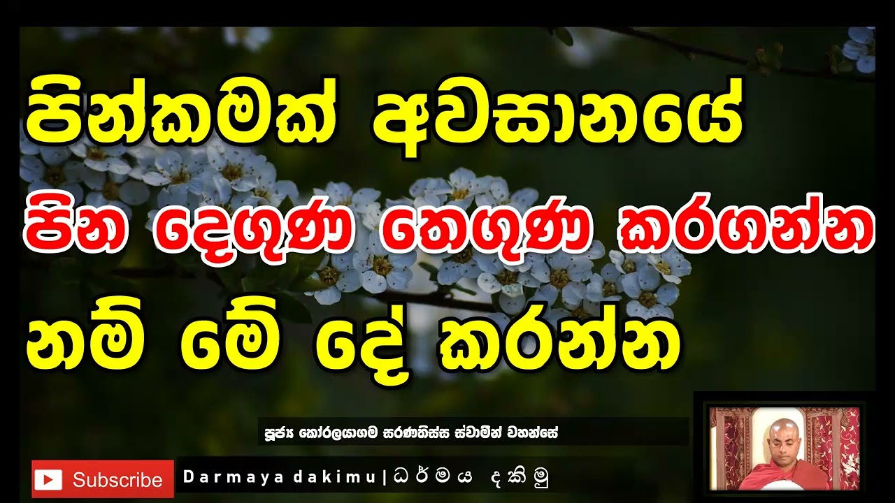 පින වැඩි වෙන්න නම් මේ විදියට අනිත් අයටත් අනුමෝදන් කරන්න‍🙏✨Ven.Koralayagama Saranatissa Thero
