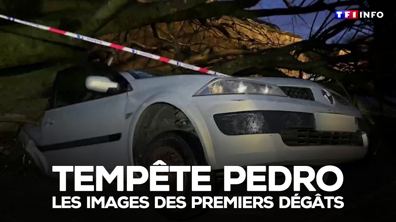 Tempête Pedro : les images des premiers dégâts｜TF1 INFO
