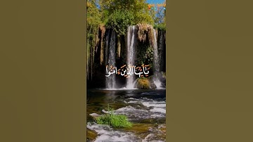 القارئ أحمد النفيس﴿إِنَّ اللَّهَ وَمَلائِكَتَهُ يُصَلّونَ عَلَى النَّبِيِّ ﴾