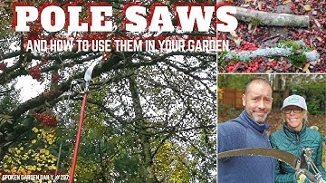 🌲 Pole Saw Uses for Your Garden - SGD 227 🌲
