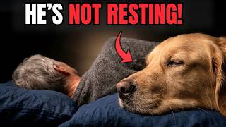 If You’re Over 50 and Your Dog Sleeps With You, Watch This