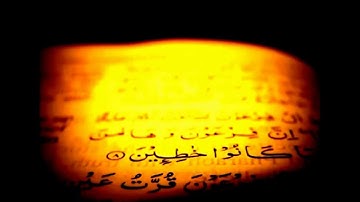 سورة الطور الآيات (٣٢-٤١)