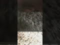 POV when I drop my phone at night, my phone will be acting like this is so for real and relatable