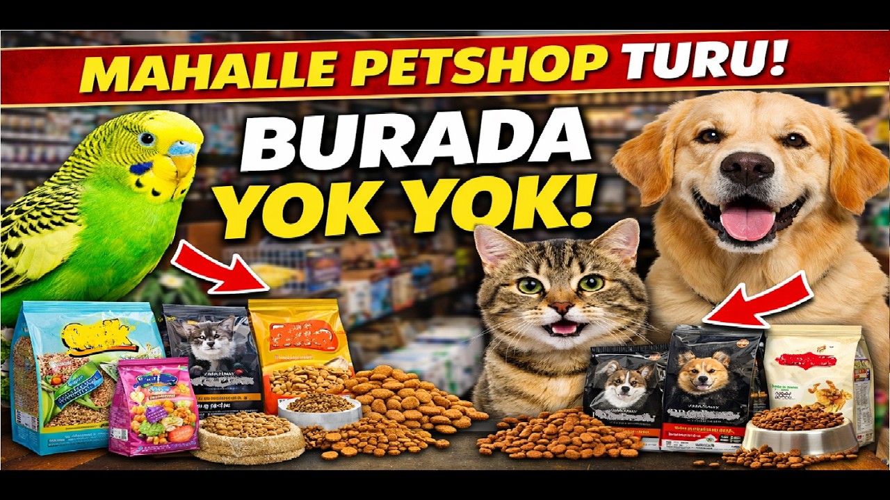 Mahallemizdeki Petshop’a Gittim! 🐶🐱 Kuş, Kedi ve Köpek Ürünlerini İnceledim | Akkuş Akvaryum