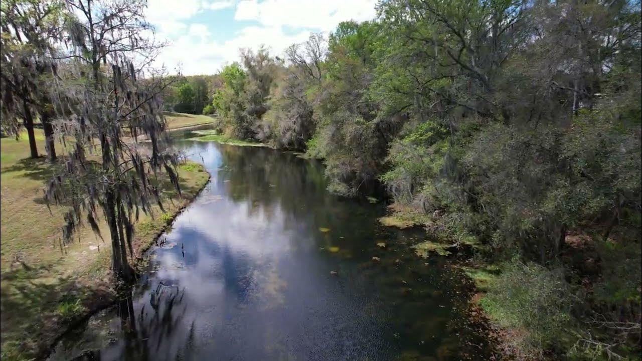Hawthorne at Leesburg Palatkaha Creek South End Upstream YouTube