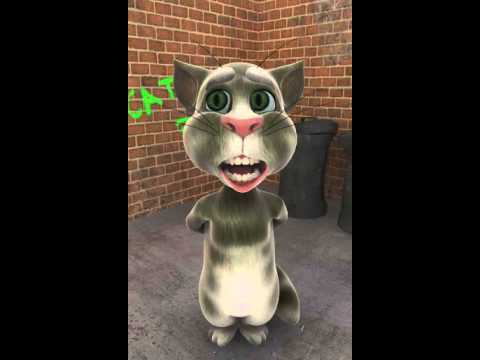 Talking Tom Chebka Y A Algerie