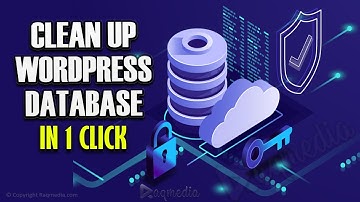 How to Clean Up Your WordPress Database In 1 Click