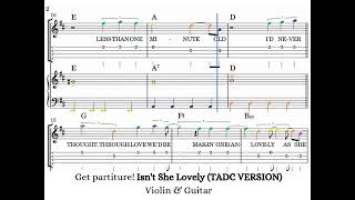 Isn't She Lovely (TADC VERSION) Violin & Piano Notes Chords