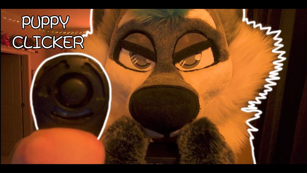 Clicker Training, You are a puppy 🐶 [FURRY ASMR]
