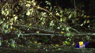 Significant storm damage reported in Mount Airy