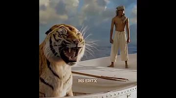 Life of Pi 2012 #lifeofpiedit #lifeofpi #lifeofpimovie #shorts #mseditx