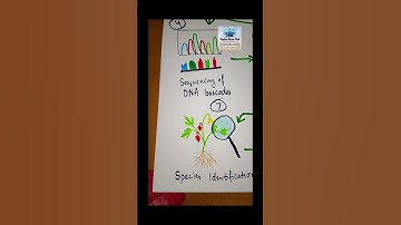 DNA Barcoding steps #trending #shorts #viralshorts #drawing