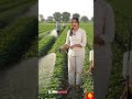 Kheti aur gardening ko banaiye aur bhi aasaan is advanced Power Sprayer ke saath! 💧🌱