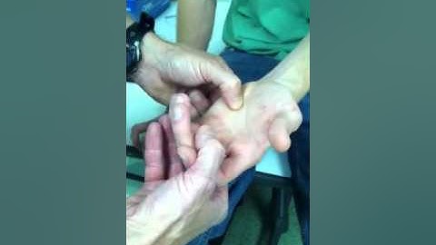 Merrimack College A&P Lab 5 Palpation Bone