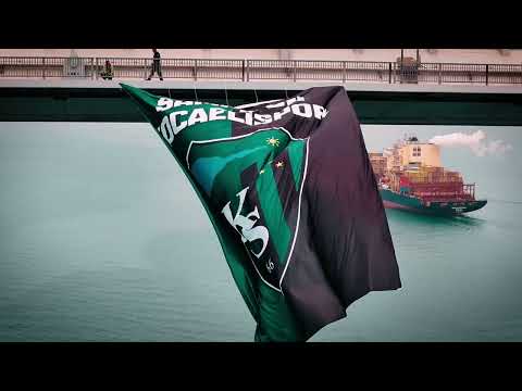 Burası Basra değil, İzmit Körfezi! 🦈