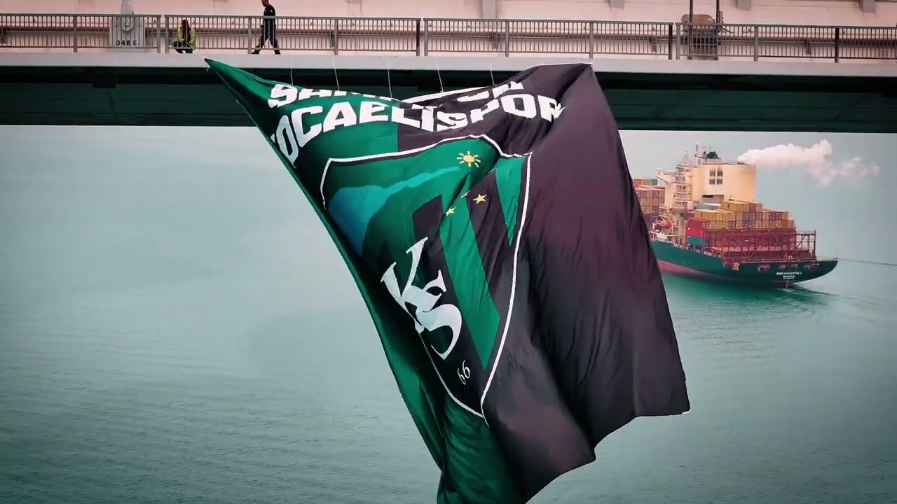 Burası Basra değil, İzmit Körfezi! 🦈