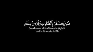 كرومة شاشة سوداء بصوت الشيخ#ياسر_الدوسري#سورة_البقرة